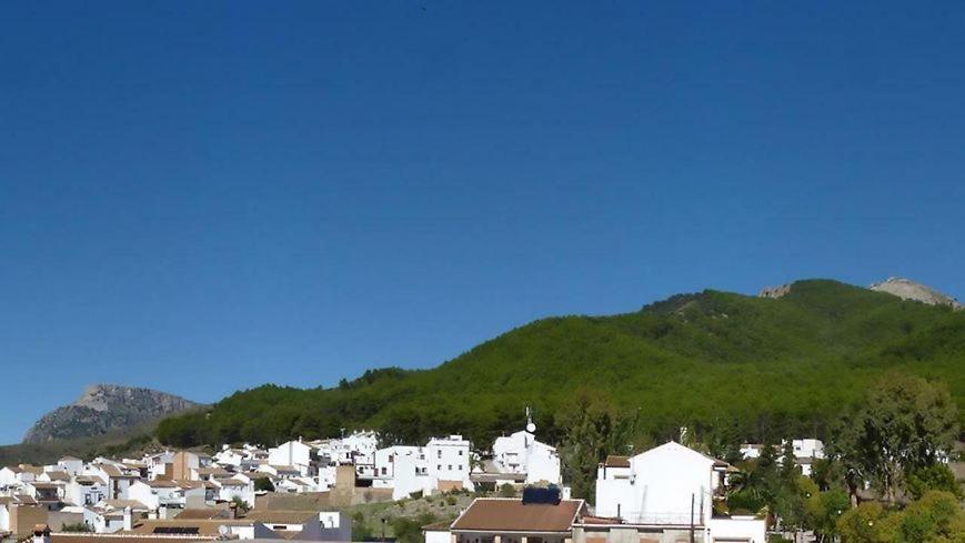 Hostal El Pinar Монтекорто Екстер'єр фото